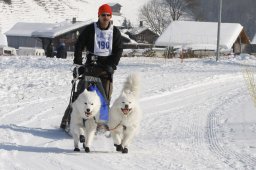 Lenk 2012 SM